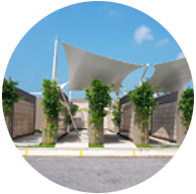 Niche layout and distribution plan