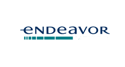 endeavor
